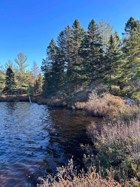 Bord de l'eau — Ch. du Lac-Migué, Saint-Damien