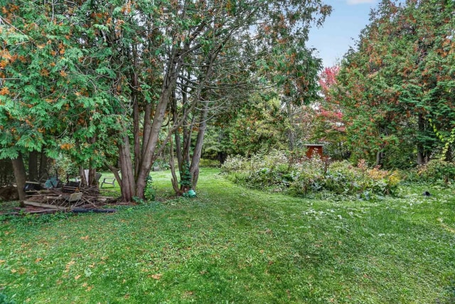 Cour — 5121 - 5125 Ch. des Pionniers, Shawinigan