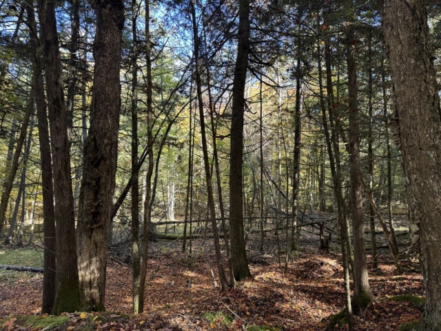 Photo 4 — Chemin du Lac, Hatley