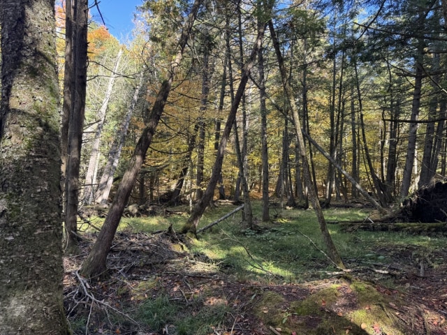 Photo 5 — Chemin du Lac, Hatley