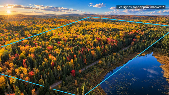 Vue d'ensemble — Route Lebrun, Port-Daniel/Gascons