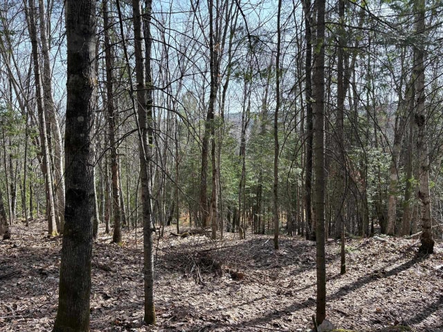 Terrain — Rg Ste-Agathe, Sainte-Béatrix