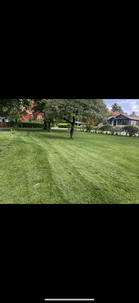 Terrain