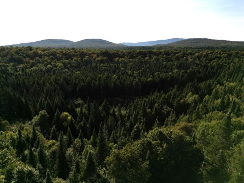 Vue d'ensemble