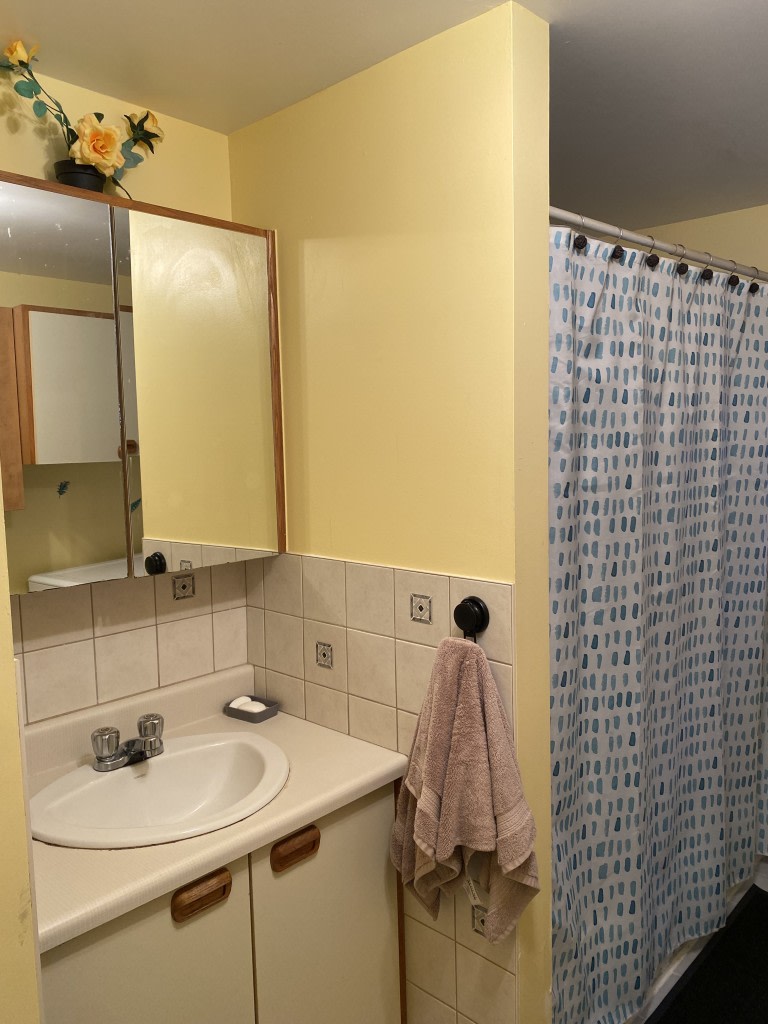 SalleDeBains