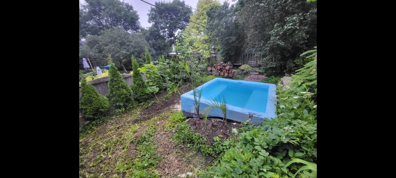 Jardin