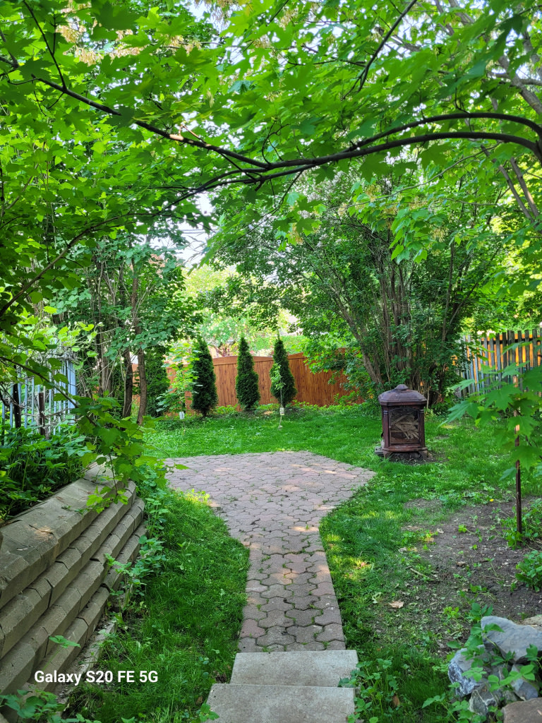 Jardin