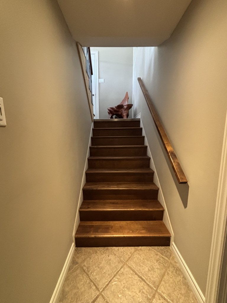 Escalier