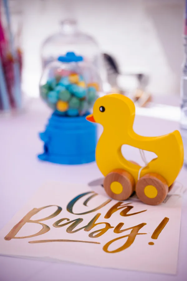 Photographe baby shower à Dourdan