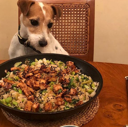 Food