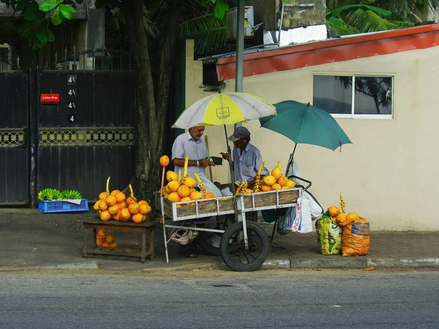Coconut seller in Colombo