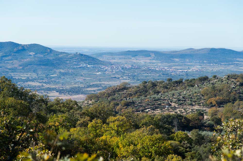 Ribera del Guadiana