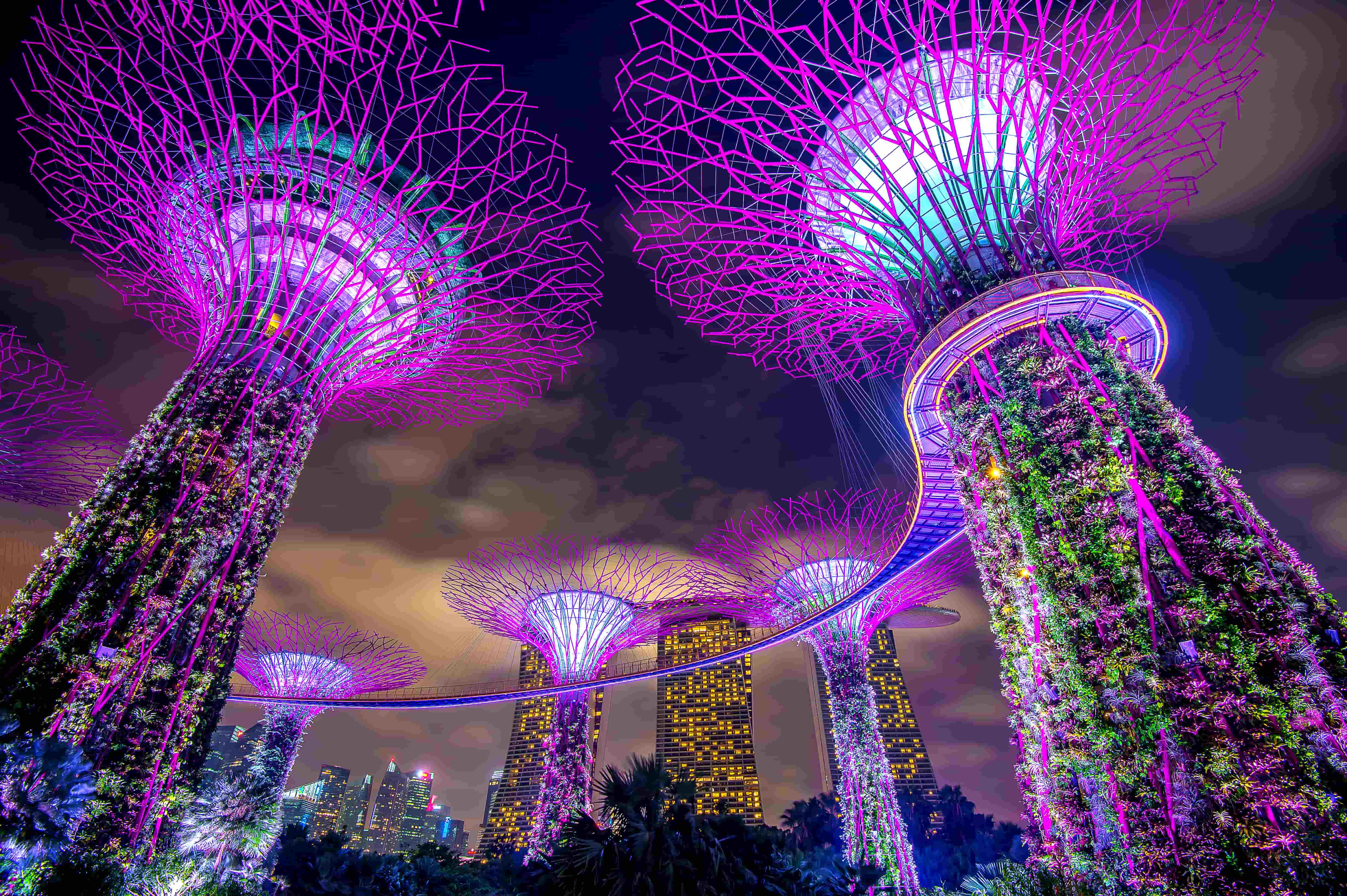 Looking Beyond: Sustainability Planning for Data Centers in Singapore