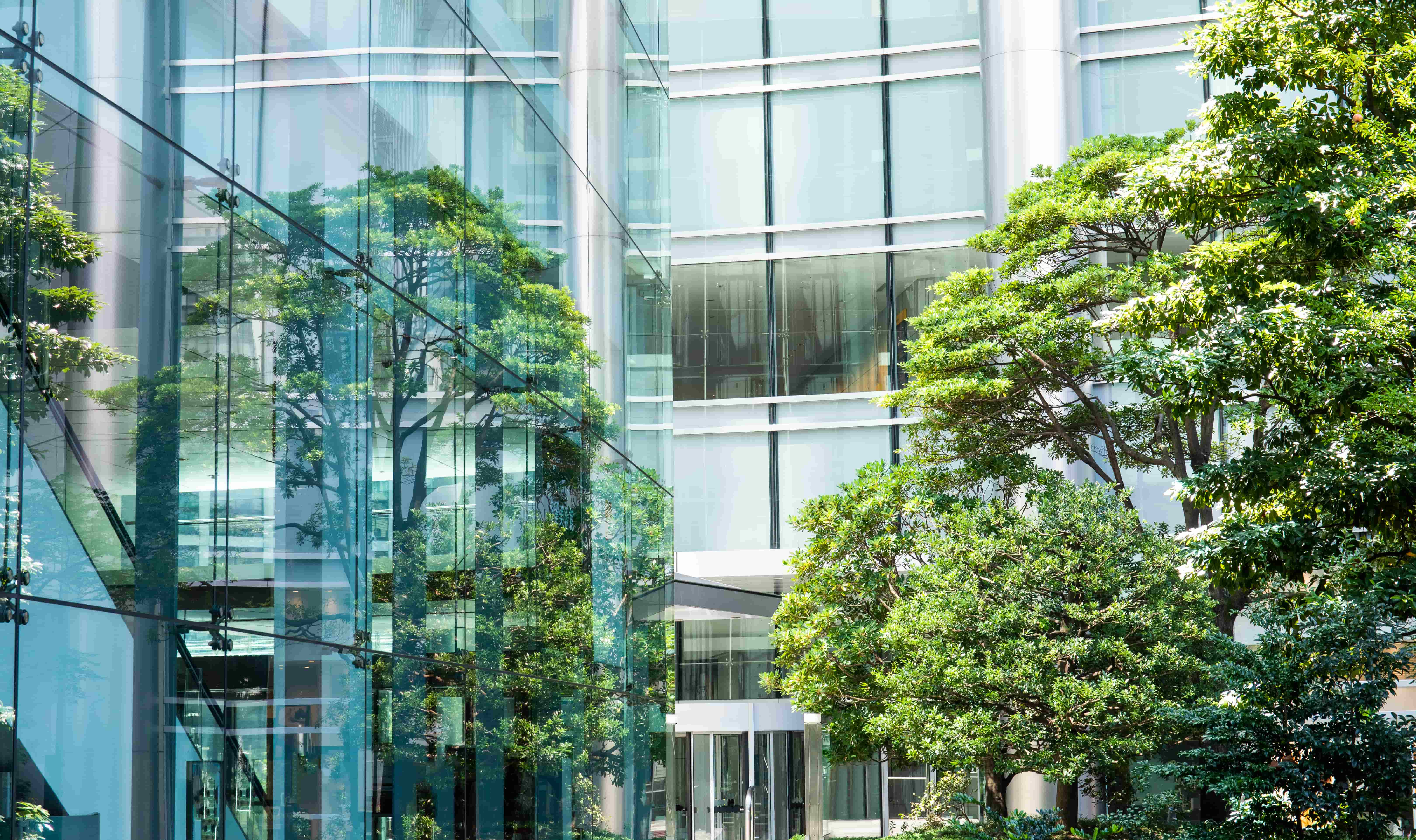 Glass building with green trees in front