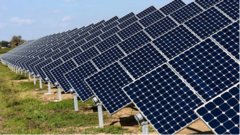 A long row of solar panels in the day time