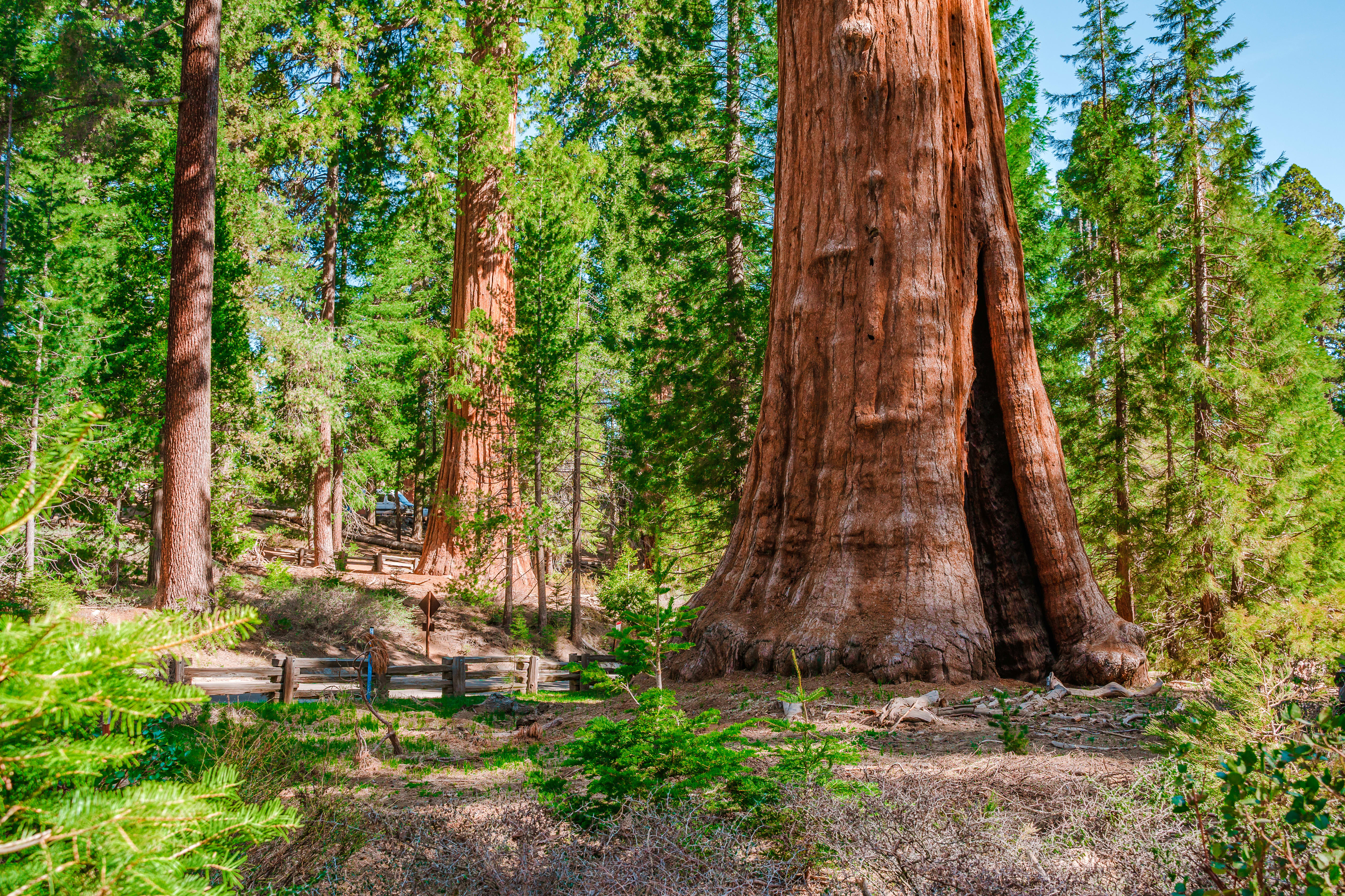 Climate Risk - California Climate Bills Fact Sheet