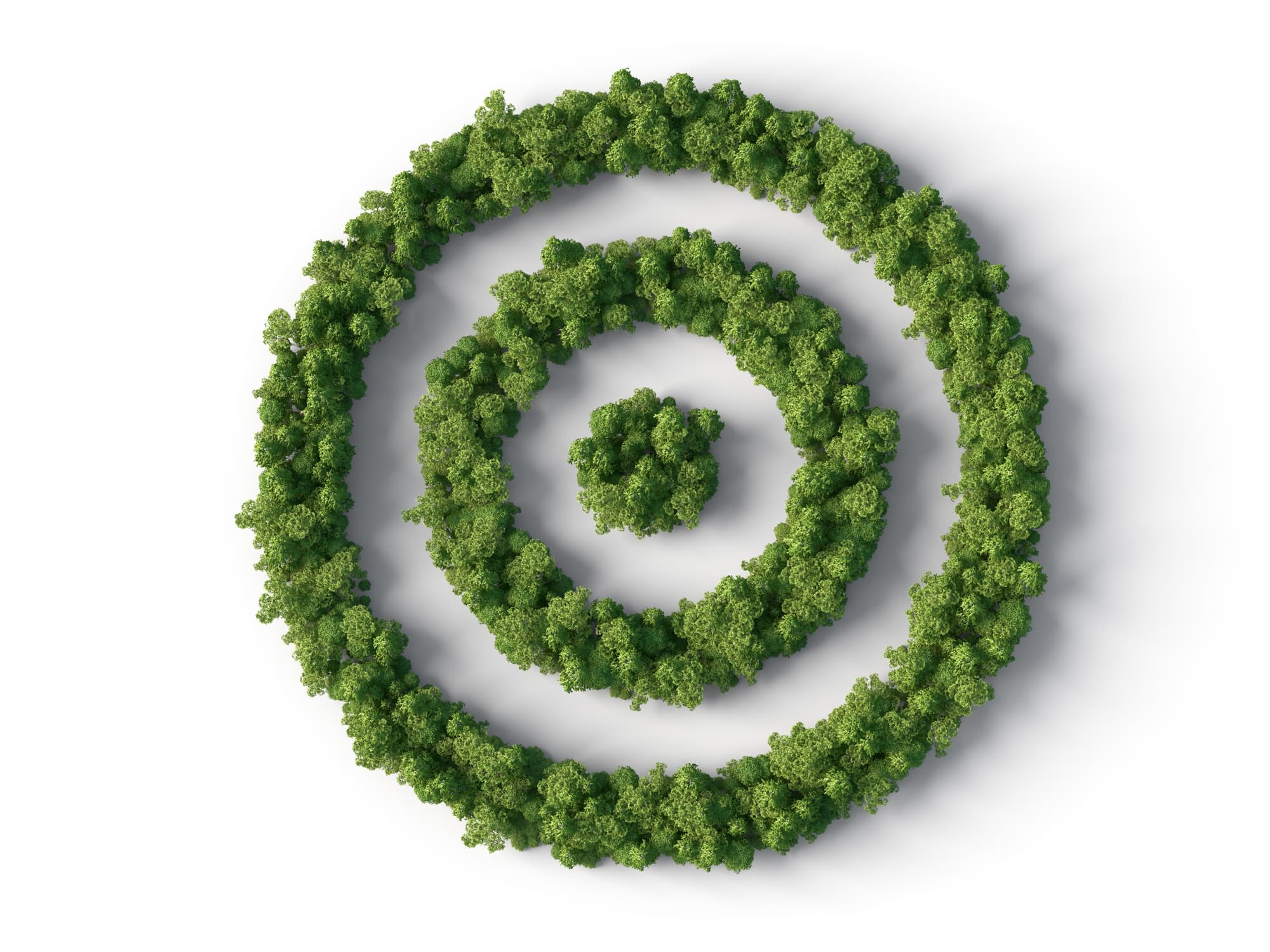 A bullseye made out of green shrubs