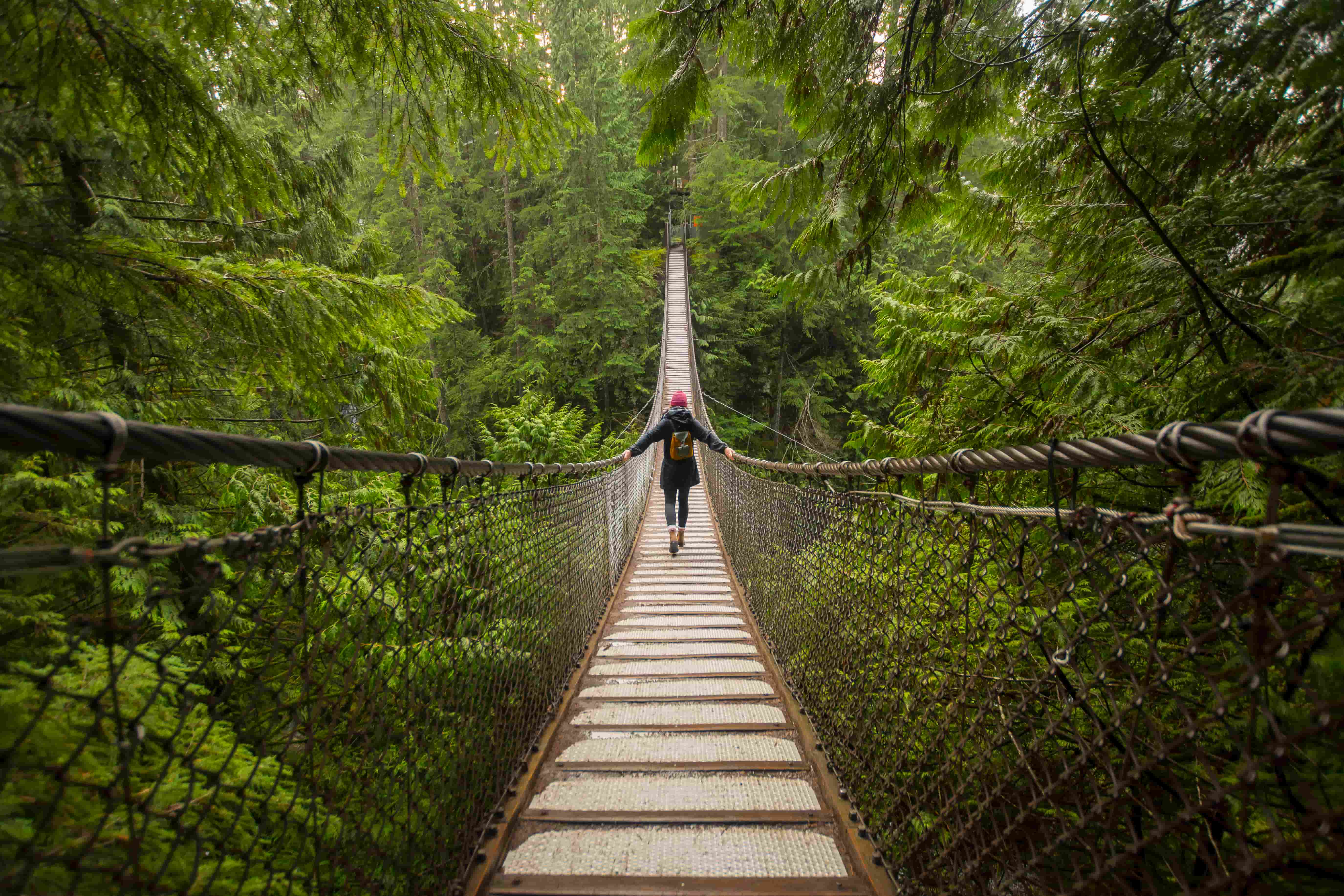 New Guide: Steering Clear of Greenwashing Claims