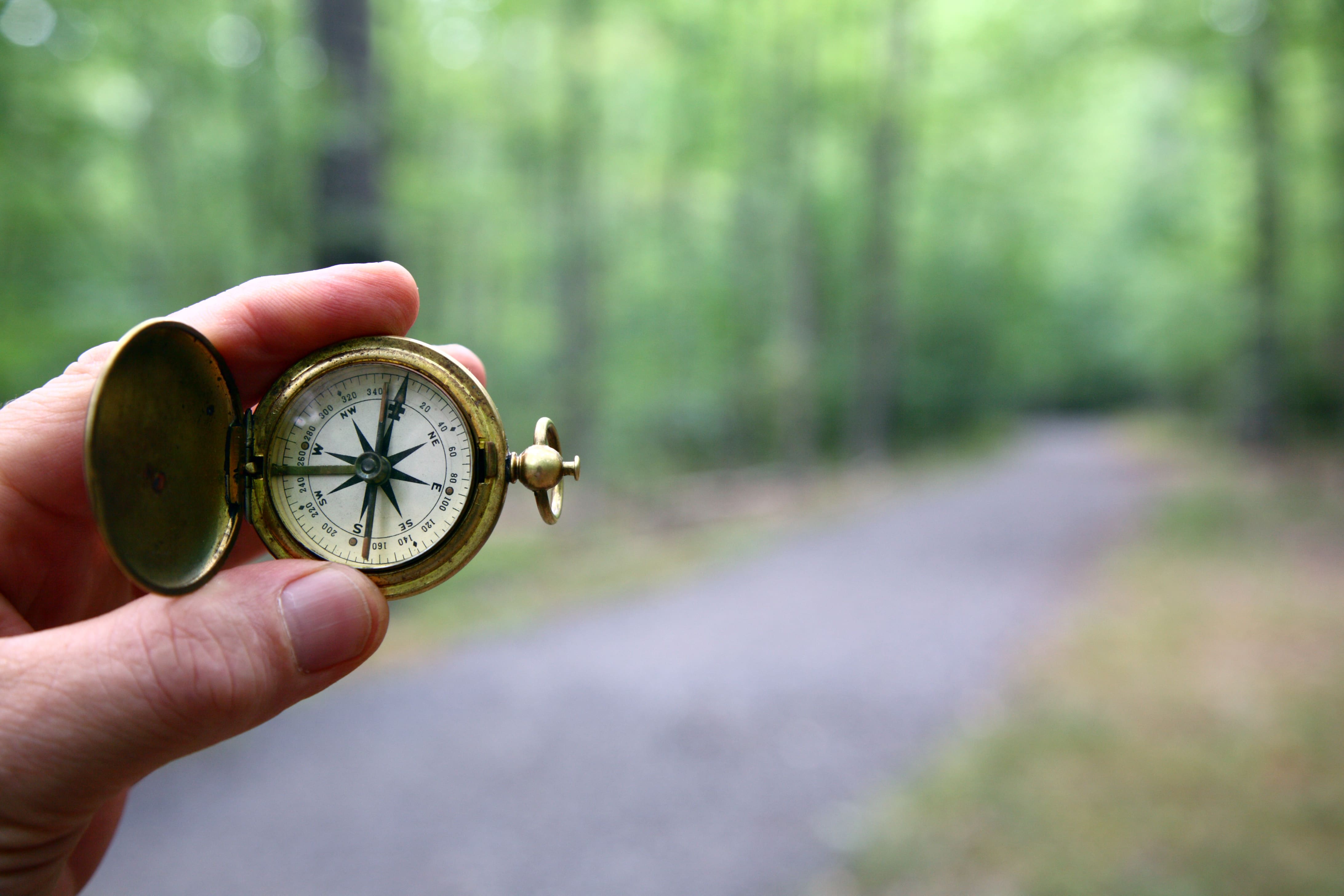 hand holding a compass with trees in the background