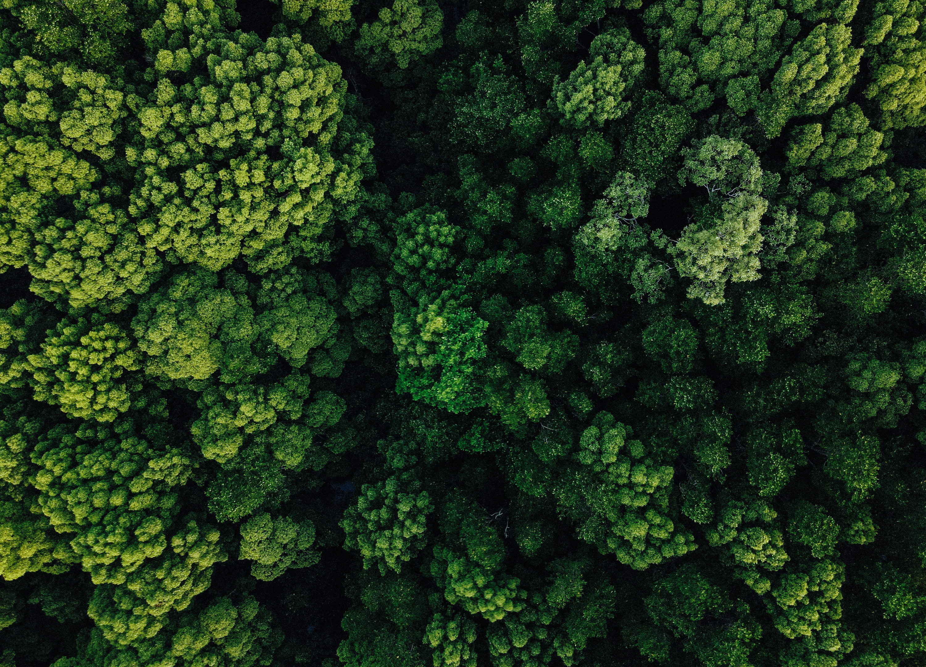 Is Your Business Ready for Climate Risk?