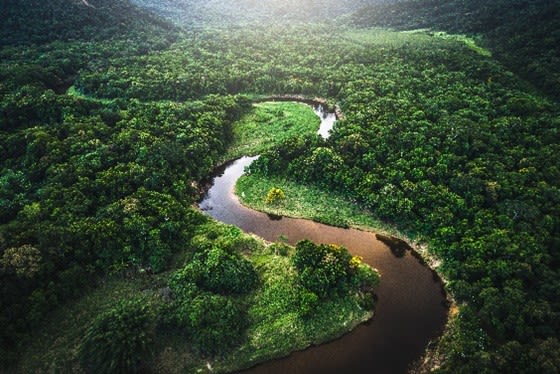 view of winding river with trees all around