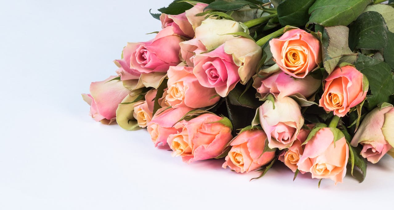 https://www.pexels.com/photo/close-up-photo-of-bouquet-of-pink-roses-2014698/ Photo by Ylanite Koppens on Pexels