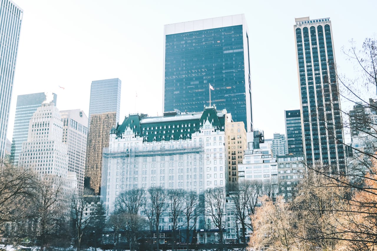 Photo by Dustin D.: https://www.pexels.com/photo/city-buildings-near-bare-trees-under-white-sky-12564045/