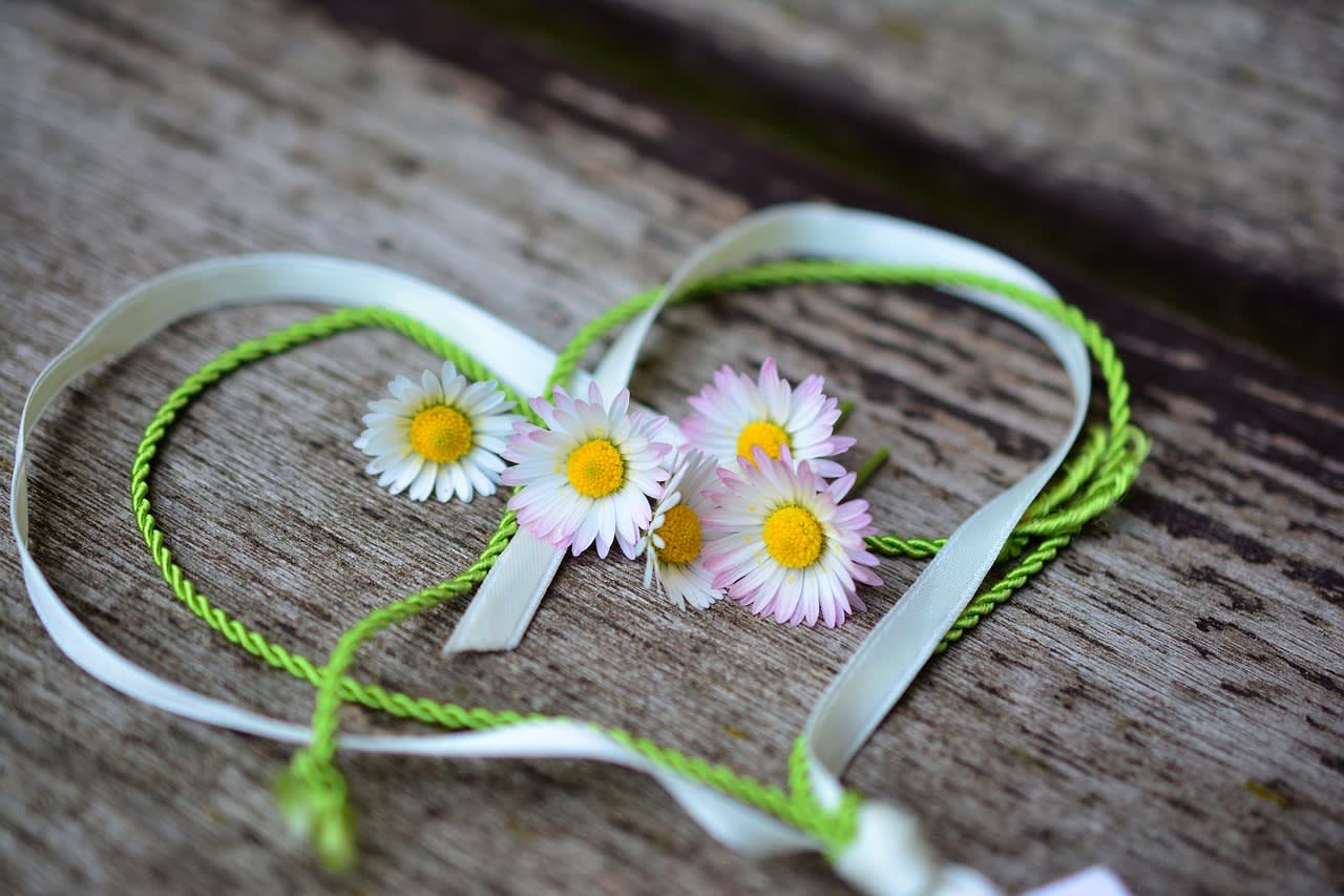 Image by congerdesign from Pixabay https://pixabay.com/photos/daisy-heart-romance-valentines-day-3392654/ 