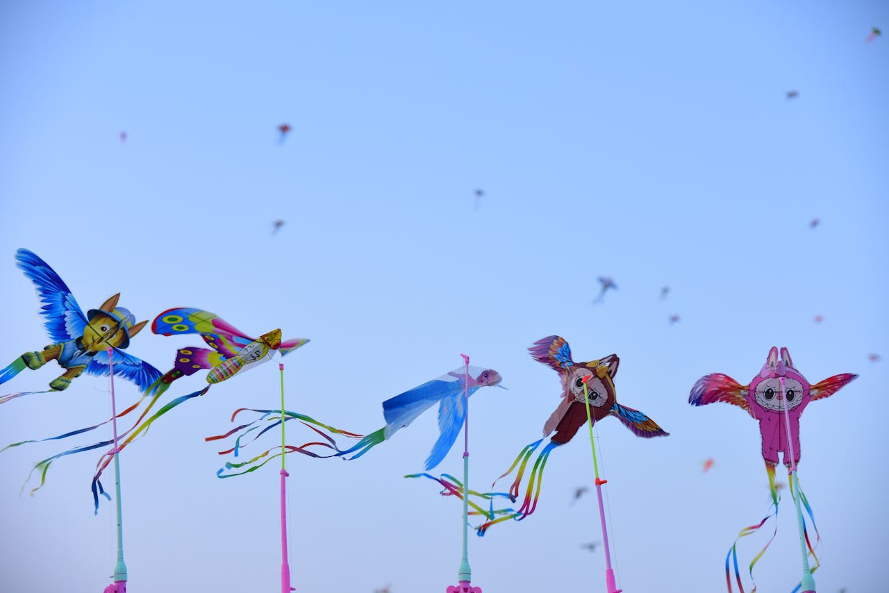 Photo by Sóc Năng Động: https://www.pexels.com/photo/vibrant-kite-festival-with-colorful-owl-kites-31358776/ 