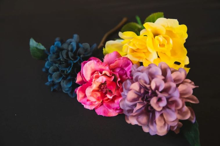 Photo by Ryutaro Tsukata: https://www.pexels.com/photo/various-bright-decorative-flowers-with-wavy-petals-on-black-background-5746105/ 
