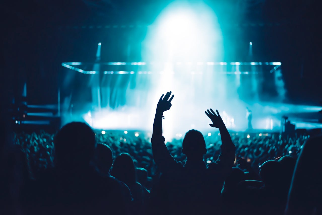 https://www.pexels.com/photo/silhouette-of-people-in-front-of-stage-1763067/  Photo by Sebastian Ervi on Pexels