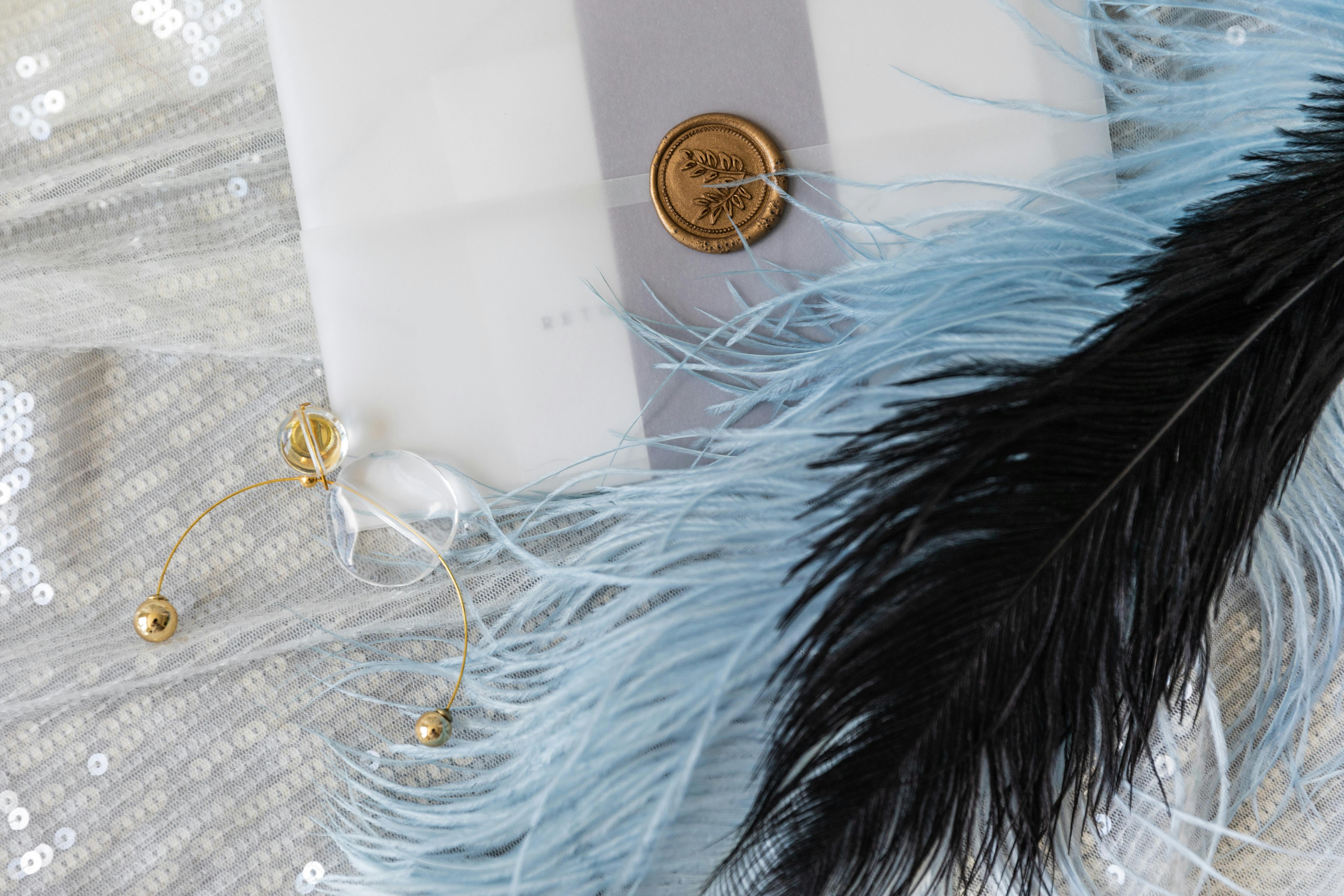 https://www.pexels.com/photo/feathers-besides-a-sealed-invitation-card-8903714/