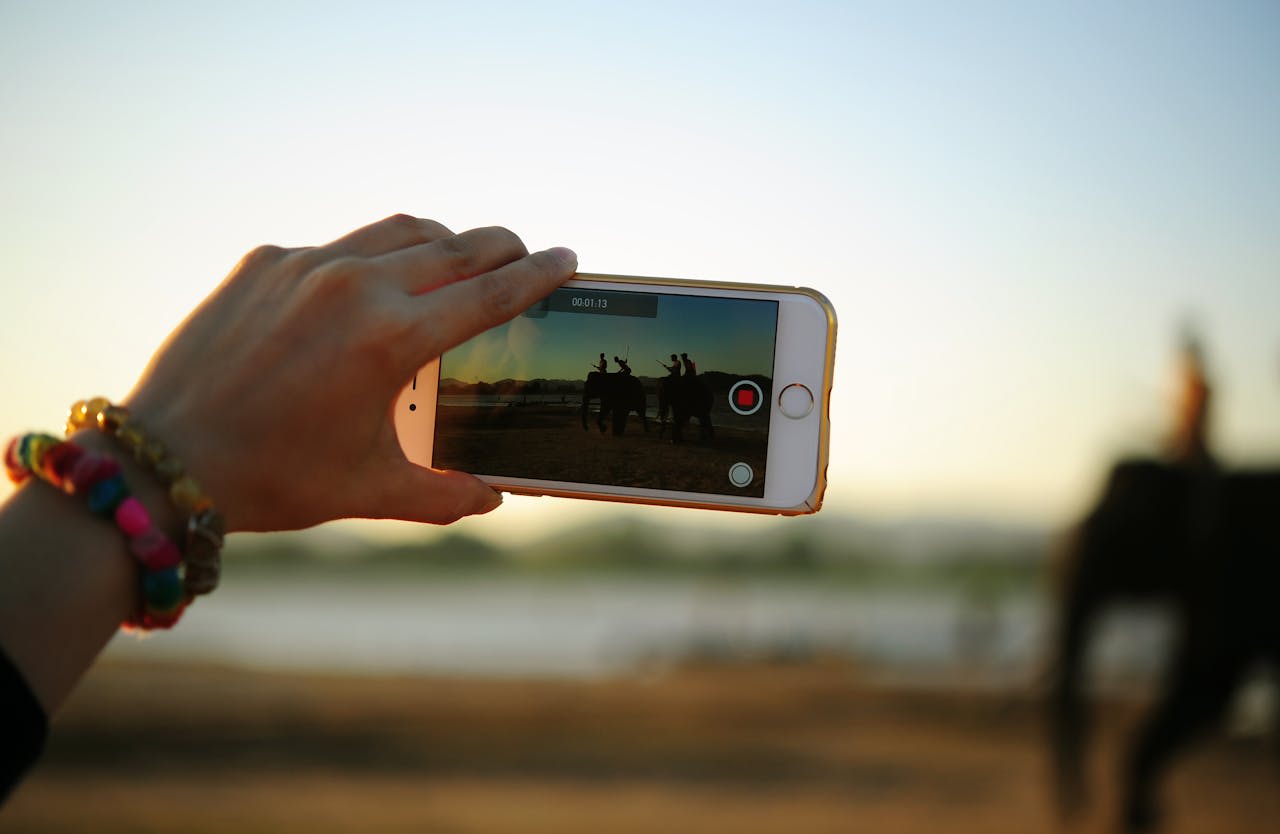 Photo by Teono123 No: https://www.pexels.com/photo/person-taking-photo-of-elephants-88476/