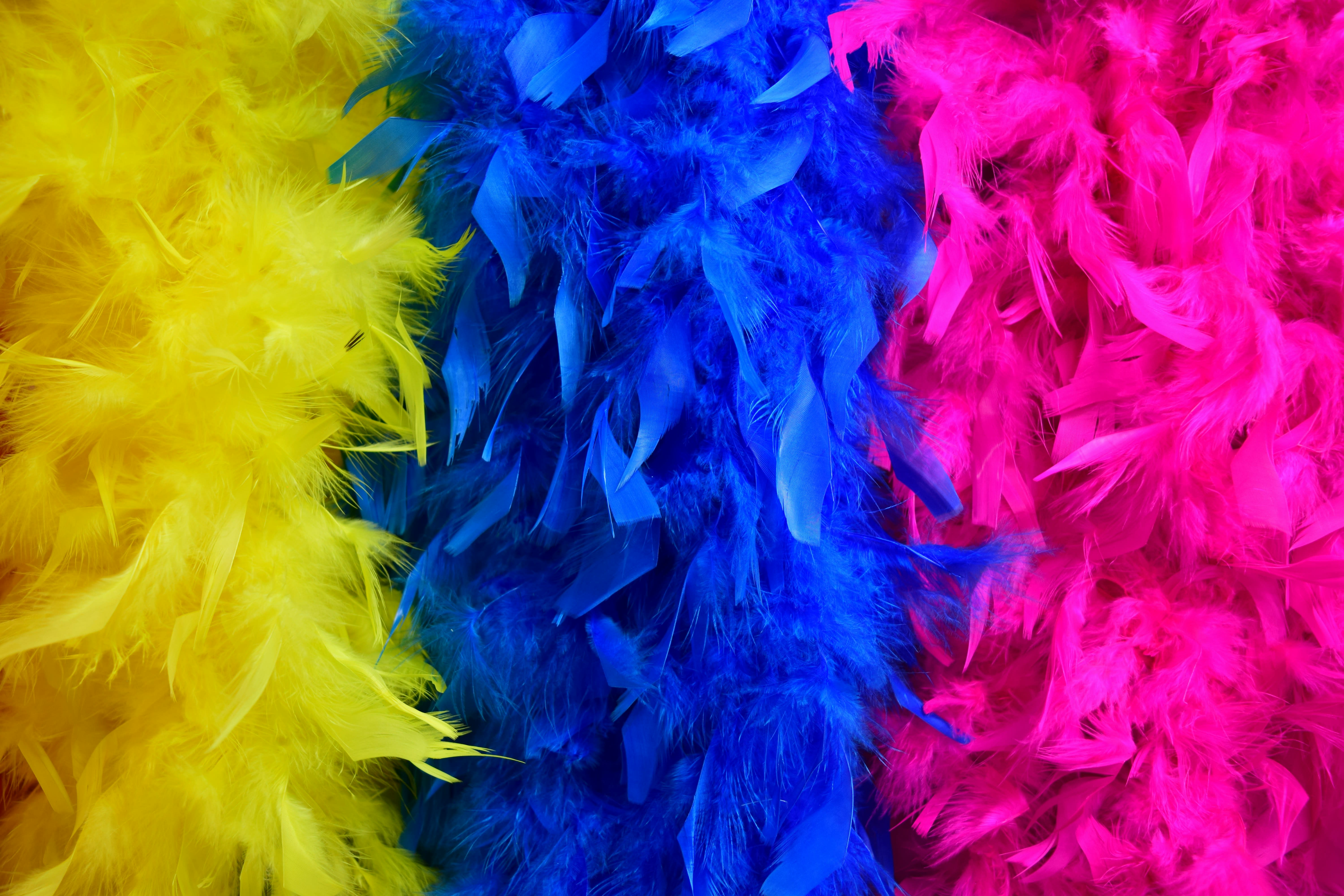 https://unsplash.com/photos/blue-and-purple-feather-on-white-textile-4ArTdBZ0Sts