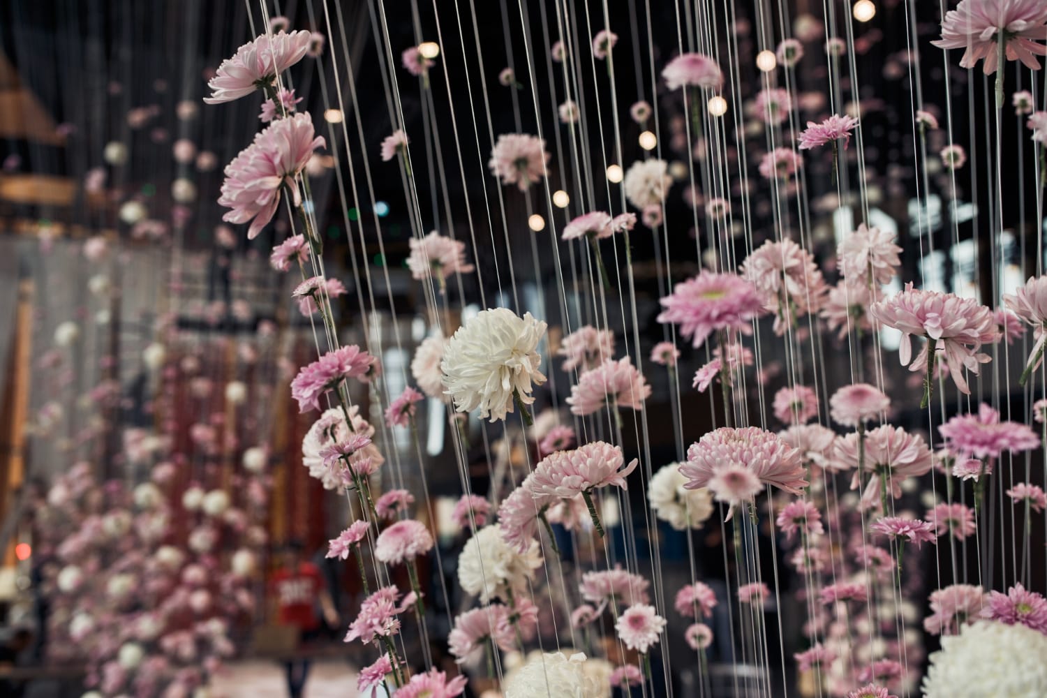 https://www.freepik.com/free-photo/pink-white-chrysanthemums-hang-threads-from-ceiling_1137136.htm#fromView=search&page=1&position=17&uuid=c6f9c56b-0eb4-4b0a-9546-0d427ebb52aa&query=wedding+decor