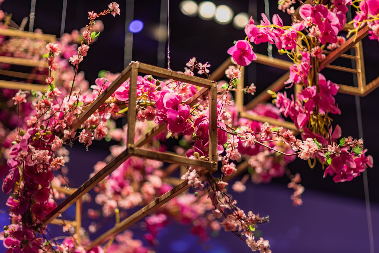 https://www.pexels.com/photo/pink-flower-arrangement-at-a-banquet-16935932/