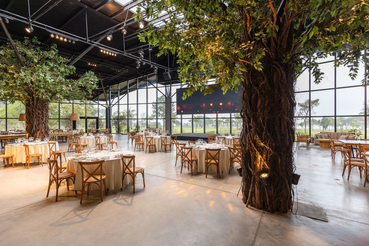 https://www.pexels.com/photo/tree-in-decorated-restaurant-hall-17056998/