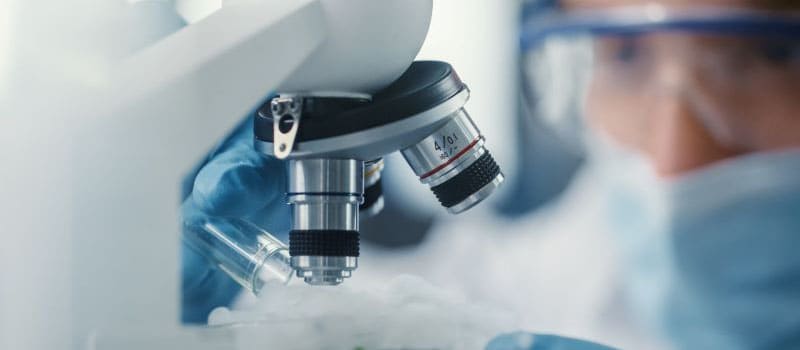 Berufliche Neuorientierung für über 100 Angestellte eines Pharmaunternehmens