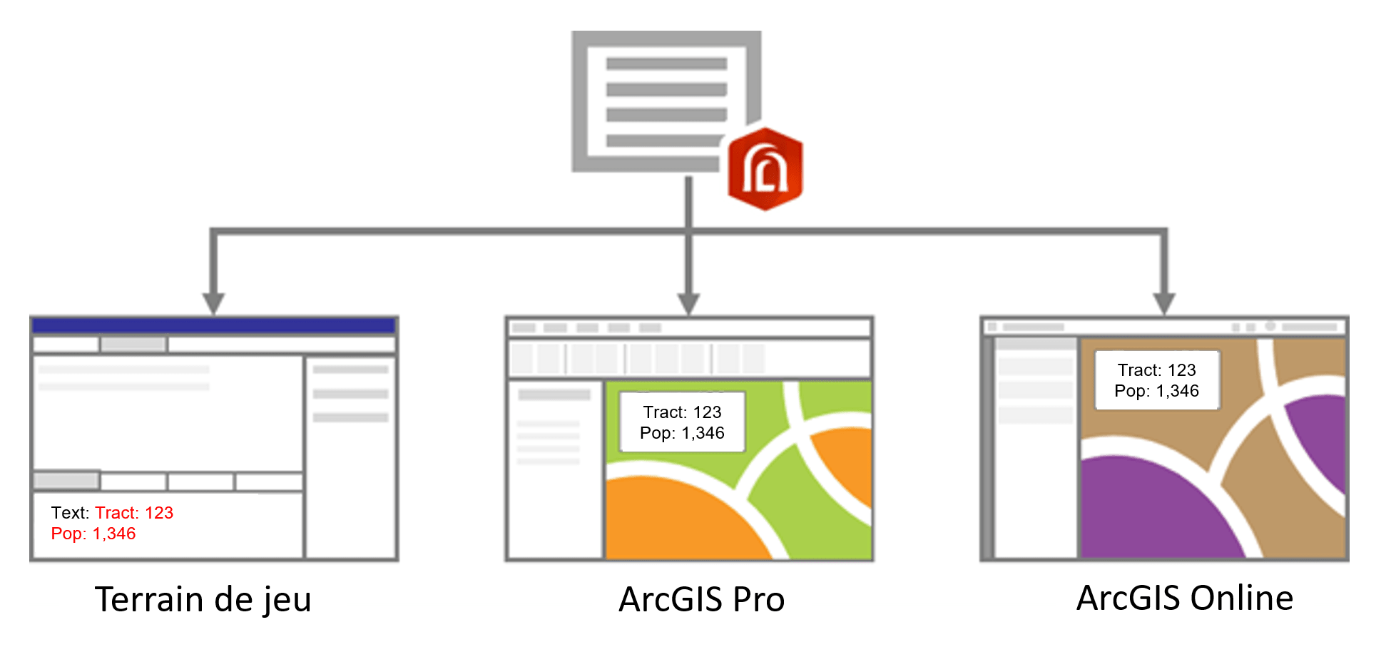 Un diagramme hiérarchique avec le logo d’ArcGIS Arcade au sommet, et plusieurs éléments qui s’y rattachent. Le premier élément est le terrain de jeu d’ArcGIS Arcade, représenté sous la forme d’une fenêtre où deux expressions Arcade sont déjà saisies. Le second est ArcGIS Pro, représenté sous la forme d’une fenêtre avec une carte sur laquelle se superposent les deux expressions Arcade. Enfin, le troisième élément est ArcGIS Online, représenté par la même carte que dans Pro, mais avec une symbologie différente. Les deux expressions Arcade y sont également affichées.