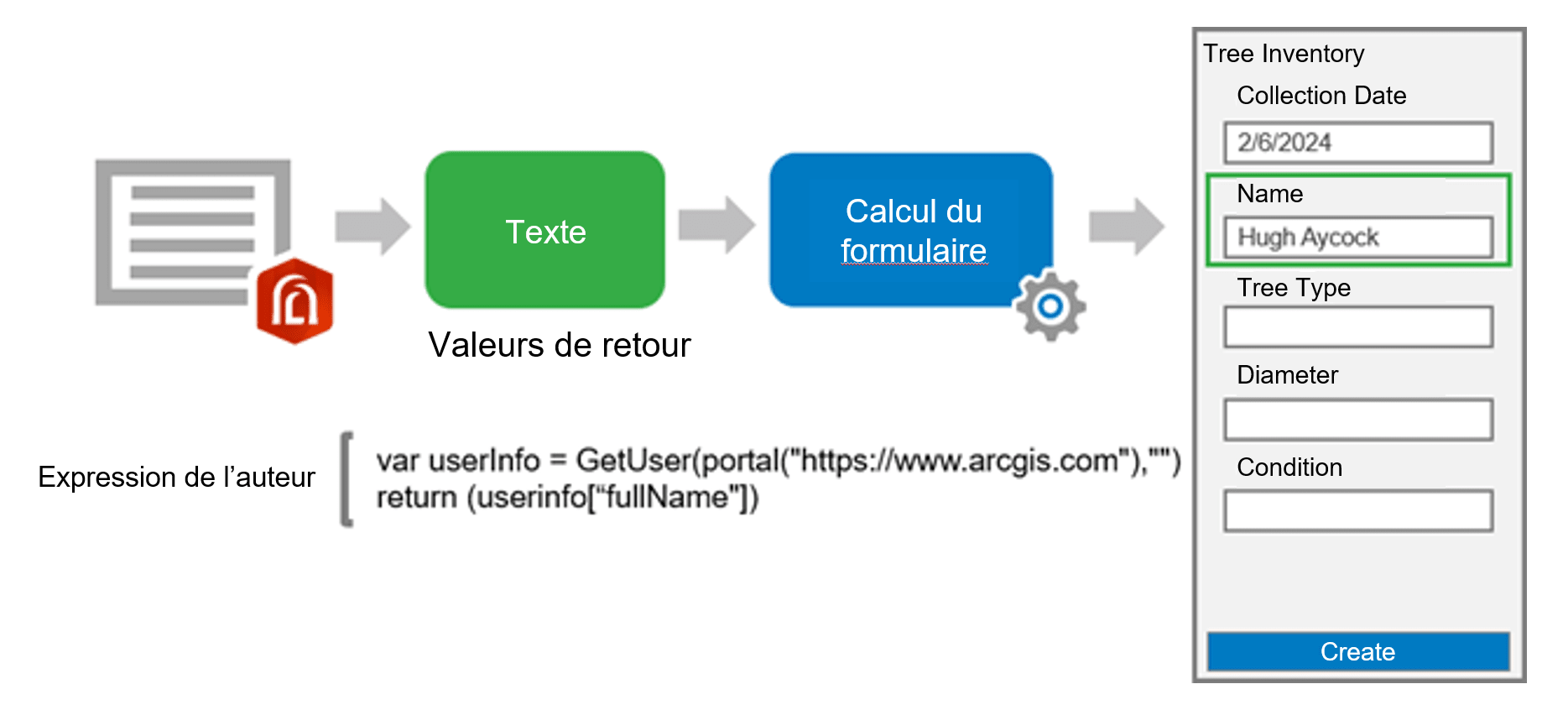 Un diagramme de processus en quatre étapes. Les flèches grises indiquent le passage d’une étape à l’autre. La première étape est représentée par le logo d’ArcGIS Arcade auquel se superpose une icône de document. La deuxième étape, étiquetée « Valeurs de retour », est représentée par le mot « Texte » sur un fond vert. La troisième étape est désignée par un rectangle bleu contenant le texte « Calcul du formulaire », auquel se superpose une petite roue d’engrenage grise. La quatrième et dernière étape est une représentation d’un formulaire à remplir dans ArcGIS Field Maps intitulé « Dénombrement des arbres », sur lequel se trouvent les champs « Date de collecte », « Nom », « Type d’arbre », « Diamètre » et « État »; un bouton « Créer » figure au bas du formulaire. L’image est accompagnée d’une expression Arcade intitulée « Expression de l’auteur », qui se lit comme suit : “var userInfo = GetUser(portal(“https://www.arcgis.com”),””) return (userinfo[“fullName”])”.