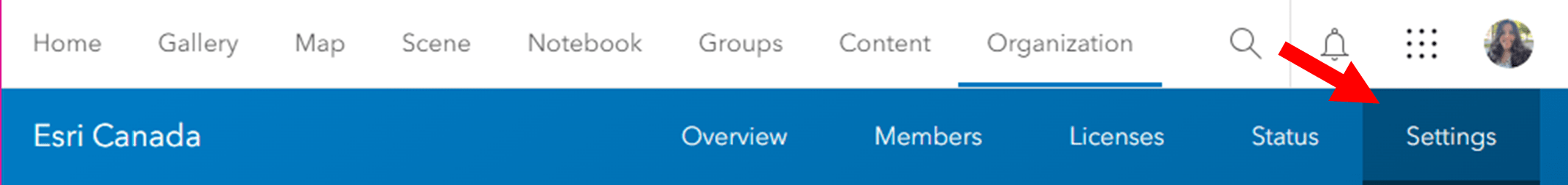 ArcGIS Online banner showing organizational settings