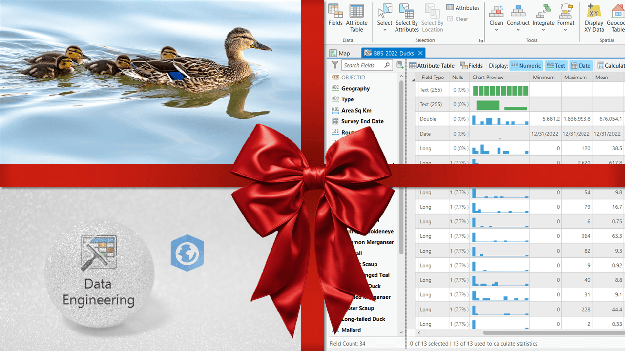 An image divided into four quadrants by a bright red gift ribbon. The quadrants contain different images: in the top left a mother duck swims with her ducklings; the top and bottom right corners show an attribute table in ArcGIS Pro; and in the bottom left there is an icon labelled “Data Engineering” next to the ArcGIS Pro emblem.