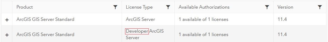 A screenshot showing an ArcGIS Server Standard production and developer license in My Esri. It includes a red bound box to highlight the Developer tag in the License Type field. 