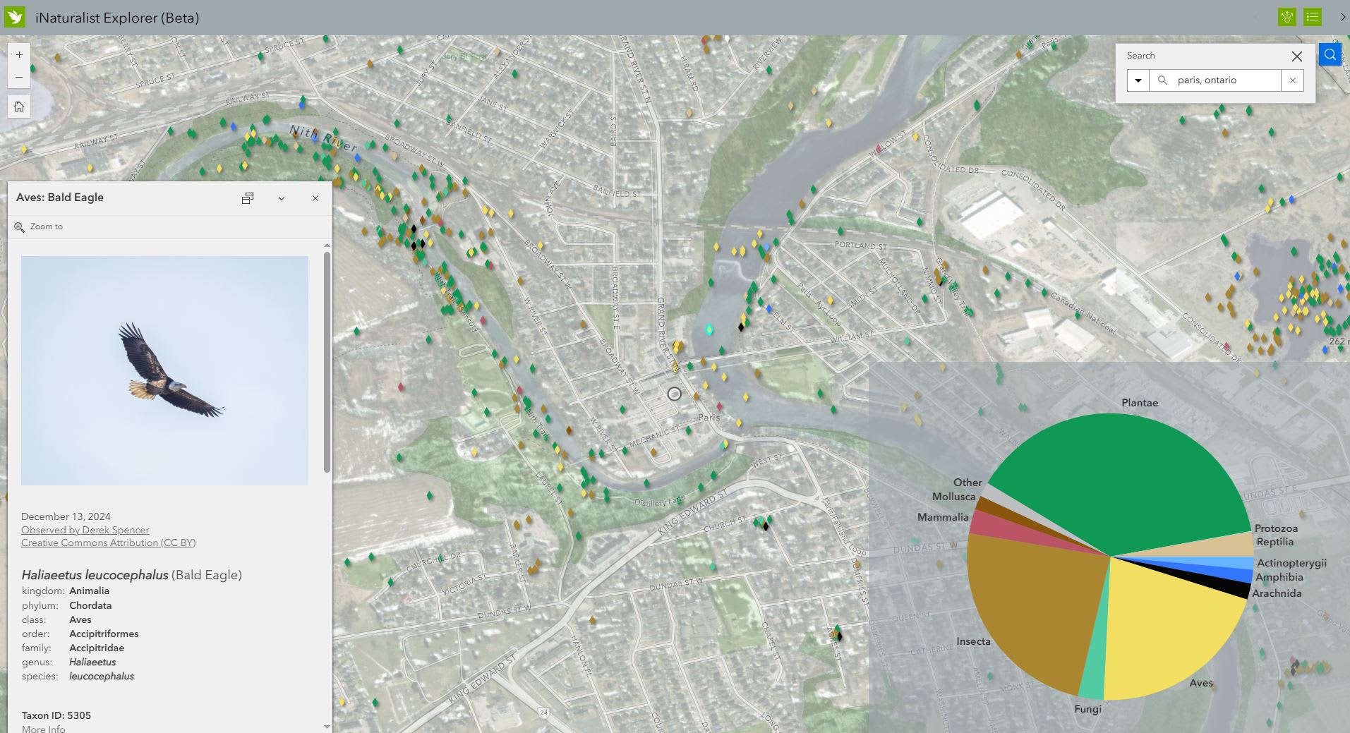 This screenshot shows a pop-up and chart overlayed on top of a digital map with features representing different flora or fauna based on collected observations.