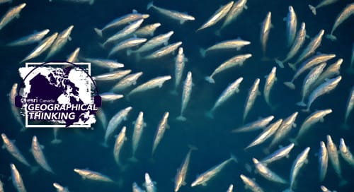 Geographical Thinking: Episode 98 – Whales or Whitecaps?