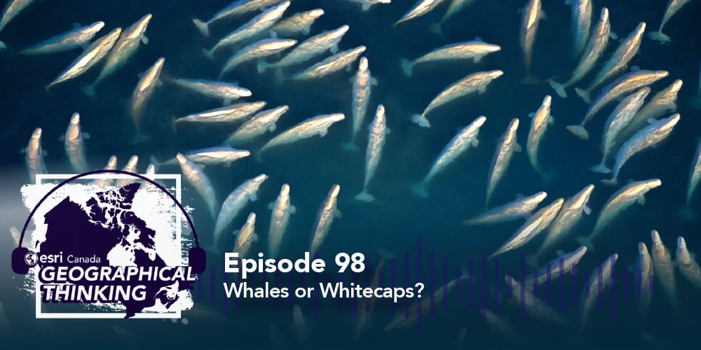 Episode 97 – Geographical Thinking Caps: The Community Map of Canada