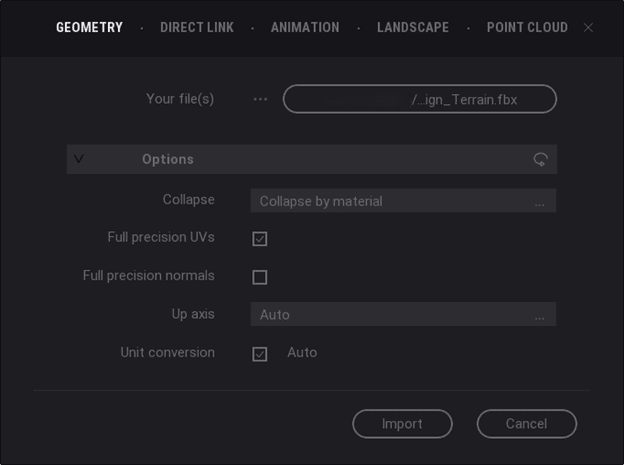Use these parameters when importing your terrain in Twinmotion