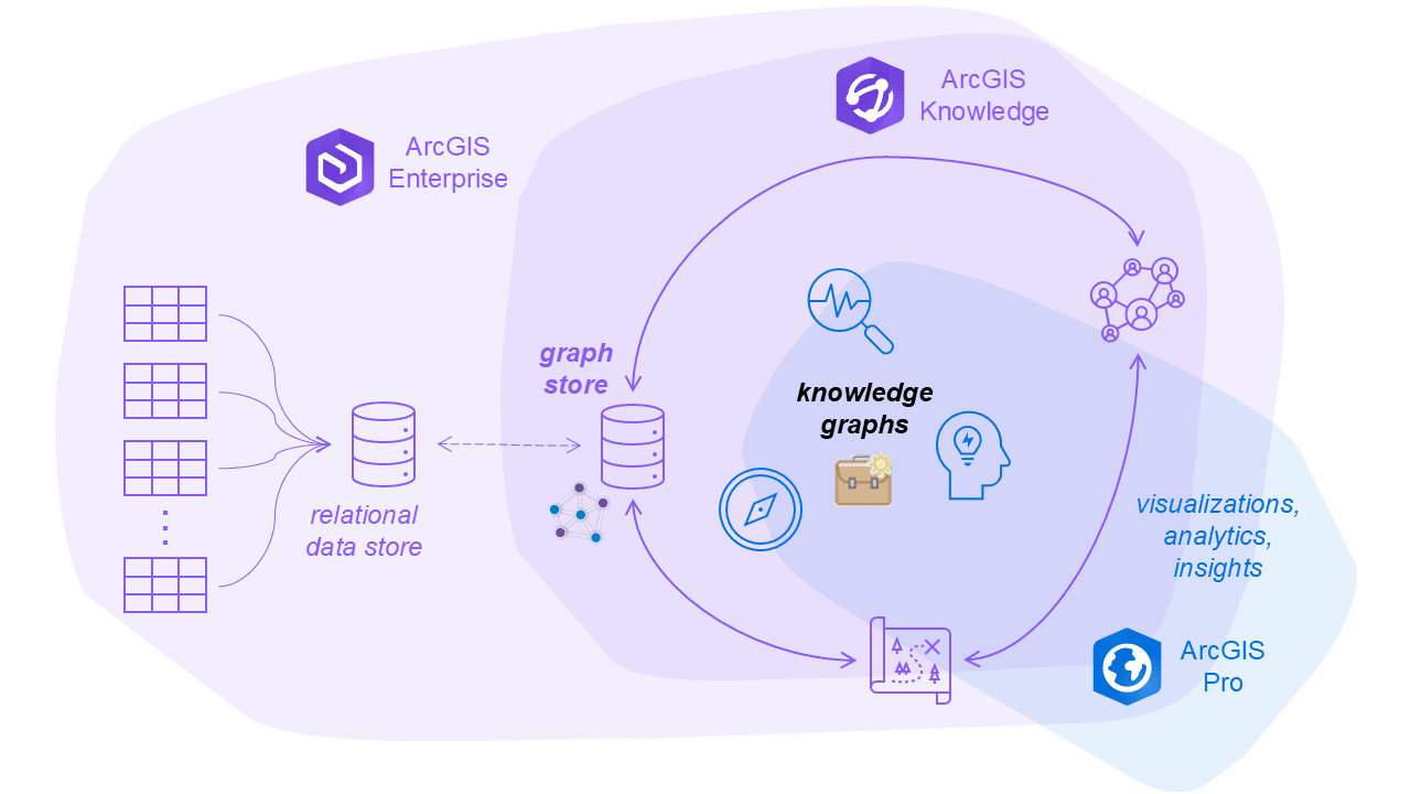 A schematic diagram of the required ArcGIS components depicted as icons for relational data store, graph store and software, where the server-based components are coloured purple and the ArcGIS Pro desktop components are coloured blue.