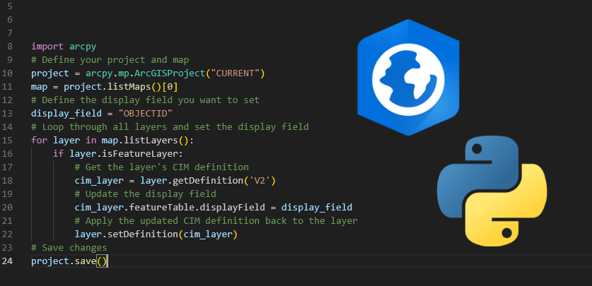 Automate Updating the Display Field in ArcGIS Pro Using the Python Window