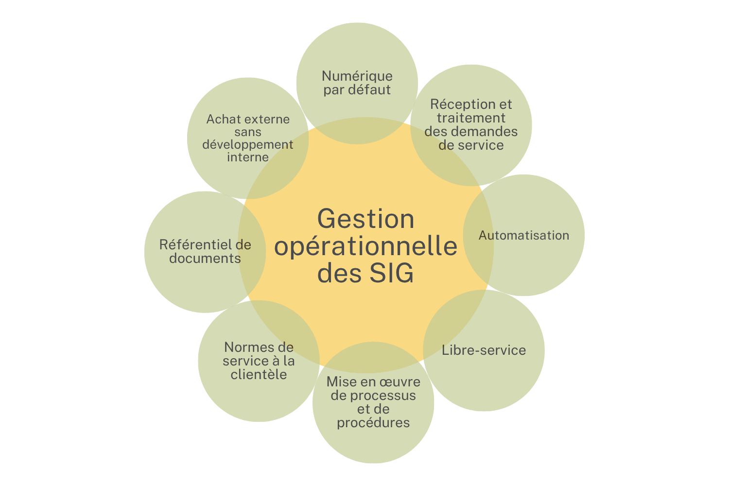 Un cercle intitulé « Gestion opérationnelle des SIG » au centre de cercles plus petits : « Référentiel de documentation », « Achat externe sans développement interne », « Numérique par défaut », « Réception et traitement des demandes de service », « Automatisation », « Libre-service », « Mise en œuvre de processus et de procédures » et « Normes de service à la clientèle ».